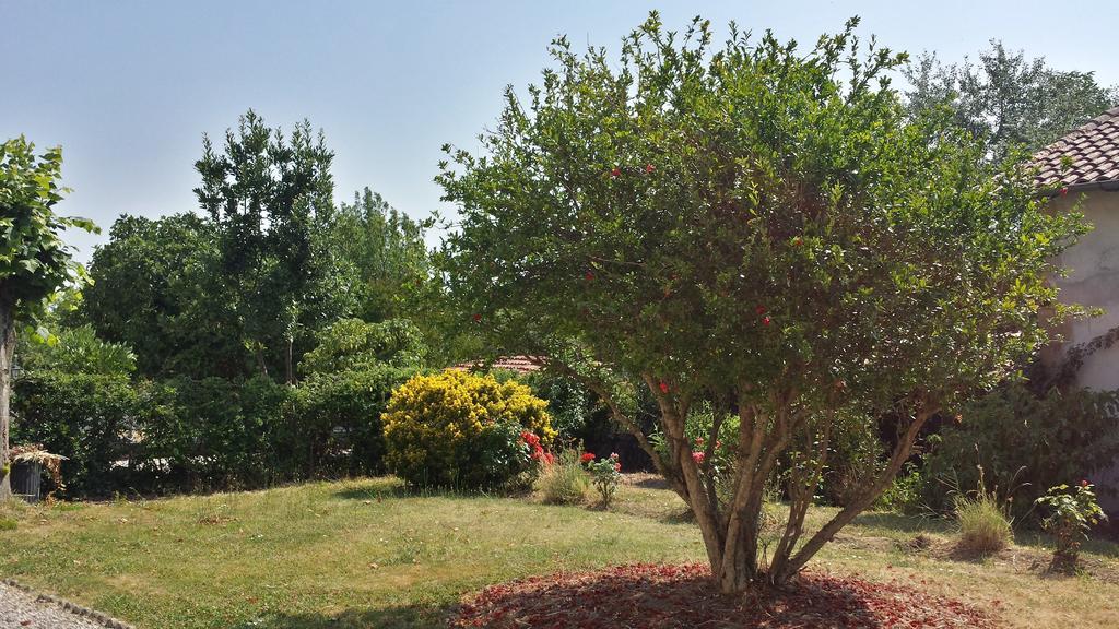 Bed and Breakfast Les Tilleuls Saint-Pe-Delbosc Екстер'єр фото